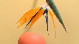 pexels-daria-liudnaya-7354422-min